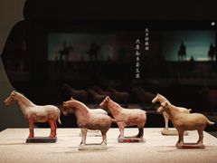 -南山博物馆