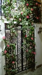 -戛纳印象摄影(潮拍定制馆)