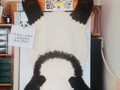 -熊猫一间店欧式奶茶铺