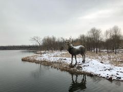 -溱湖国家湿地公园