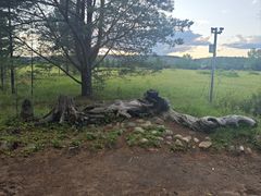 -北极村旅游风景区