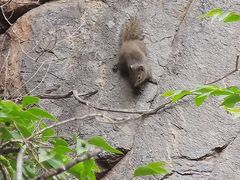 -北京鹫峰国家森林公园