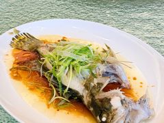 清蒸桂花鱼（1.5斤）-北园酒家(小北路店)