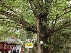 -大慈岩风景区