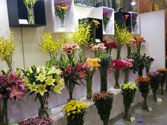 -东南花都花博园