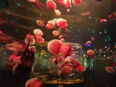 -石家庄海洋公园