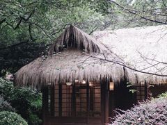 -中国茶叶博物馆(双峰馆区)