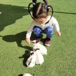 -萌宠亲子动物乐园(槐房万达店)