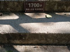 -鹿院坪生态旅游景区