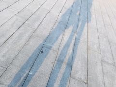 -哈尔滨大剧院