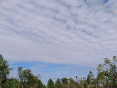 -春花秋色城市公园