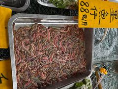 -寻味顺德·南记酒家·传统顺德菜·鱼生(广源路店)