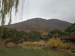 -宝岩生态观光园