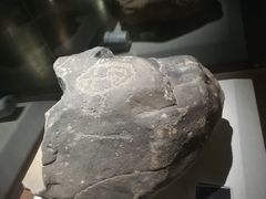 -宁夏博物馆