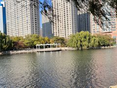 -沈阳南湖公园