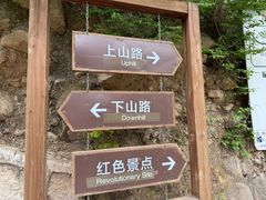 -大岭沟猕猴桃谷风景区