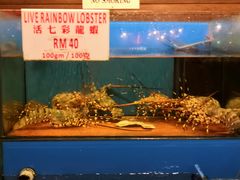 -真浪花园海鲜餐馆