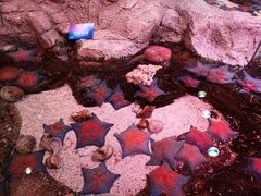 -沈阳海洋探索中心