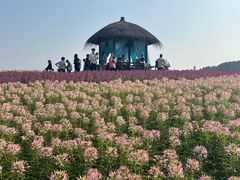 -径山花海