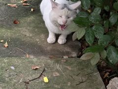 -南京工程学院(江宁校区)