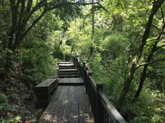 -杭州半山国家森林公园