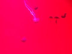 -沈阳海洋探索中心