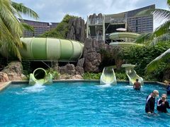 -亚马逊丛林水乐园