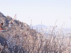 -北京鹫峰国家森林公园