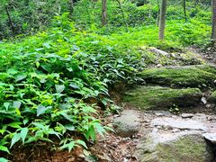 -国家植物园南园