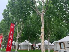 -九十九顶毡房(阜石路店)