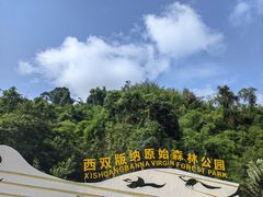 -西双版纳原始森林公园