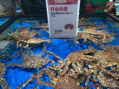 水产区-盒马鲜生(馥邦国际店)