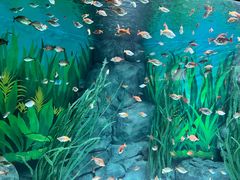 -上海海洋水族馆