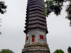 -西海子公园
