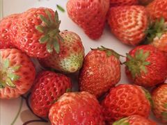 草莓-天天平价生鲜超市(庙山社区西)