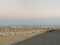 -日照海滨国家森林公园