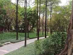 -广州珠江公园