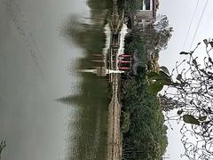 -青龙山国家森林公园