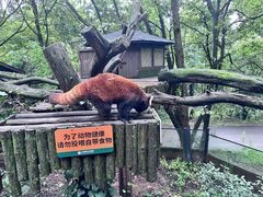 -云南野生动物园
