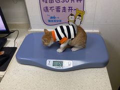 -芭比堂动物医院广州顽皮分院
