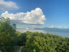 -深圳湾公园(南山区)