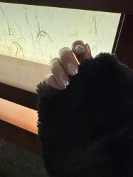 -RL Nail·瑞丽美甲美睫品牌原创店