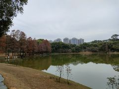 -东莞植物园