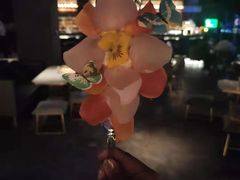 -STARRY CAFE & LOUNGE BAR(高新店)