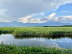 -野鸭湖国家湿地公园