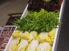 -南门四季铜锅涮肉(大屯·北苑店)