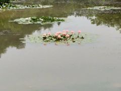 -渭南桃花源民俗文化园