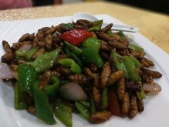 -九大簋家宴(北京路店)