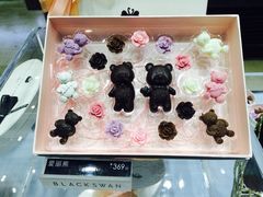 爱丽熊-BLACKSWAN黑天鹅(环球店)