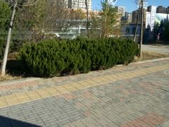 -大连理工大学(凌水校区)